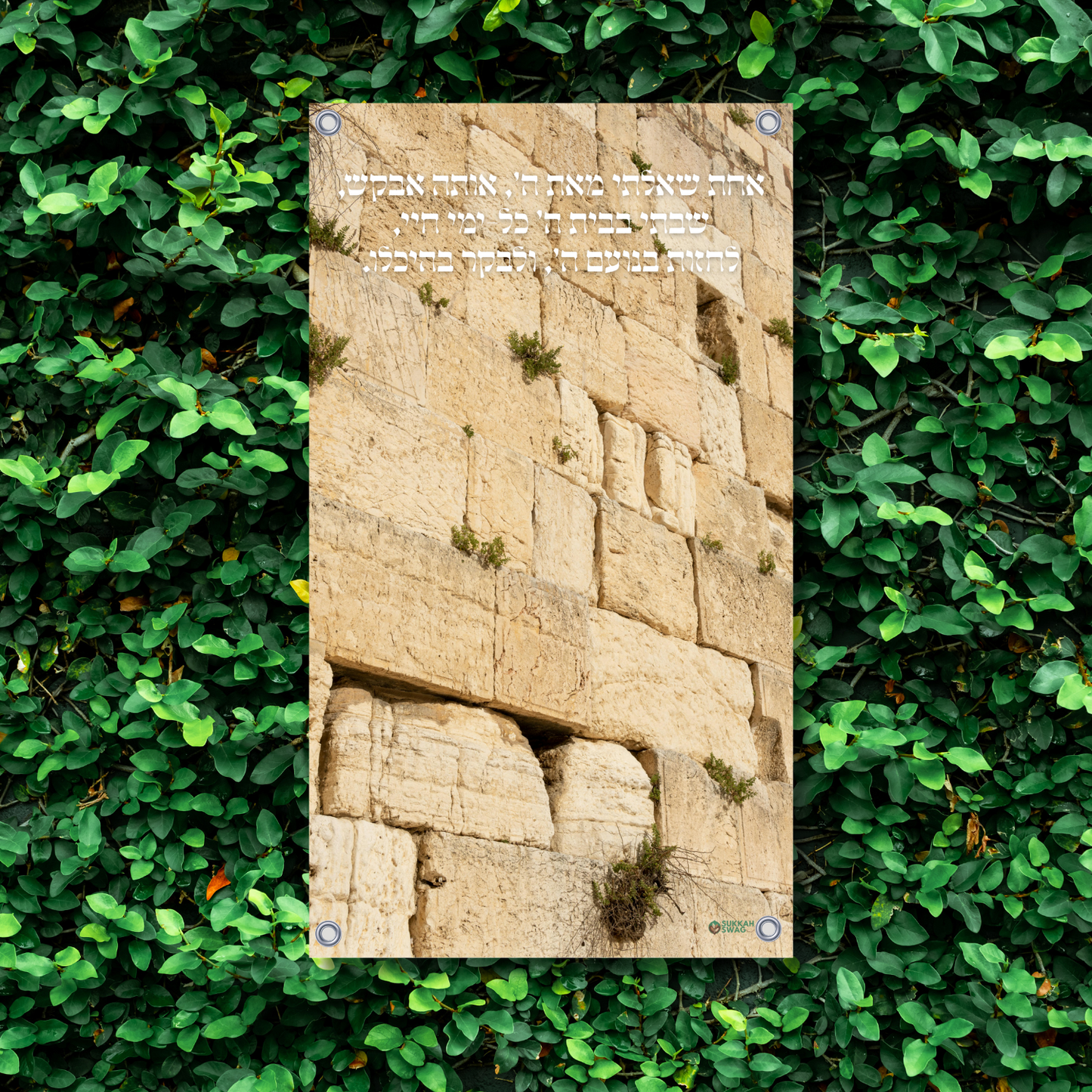 Kotel – Dwelling in Hashem’s House | Vinyl Sukkah Poster
