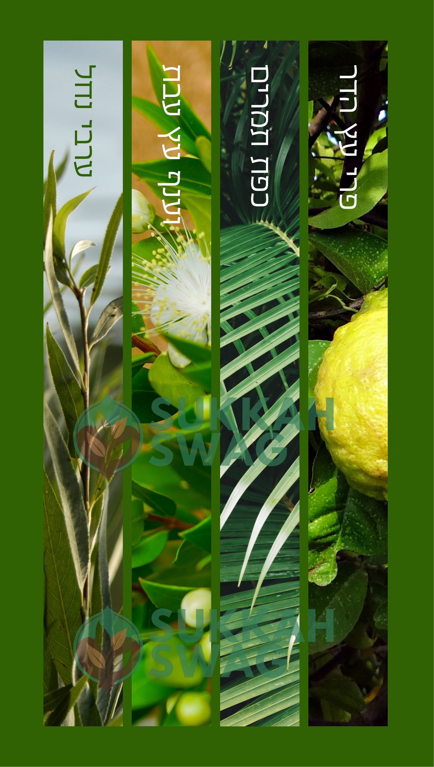 Four Species – ארבעת המינים Vertical Vinyl Sukkah Poster