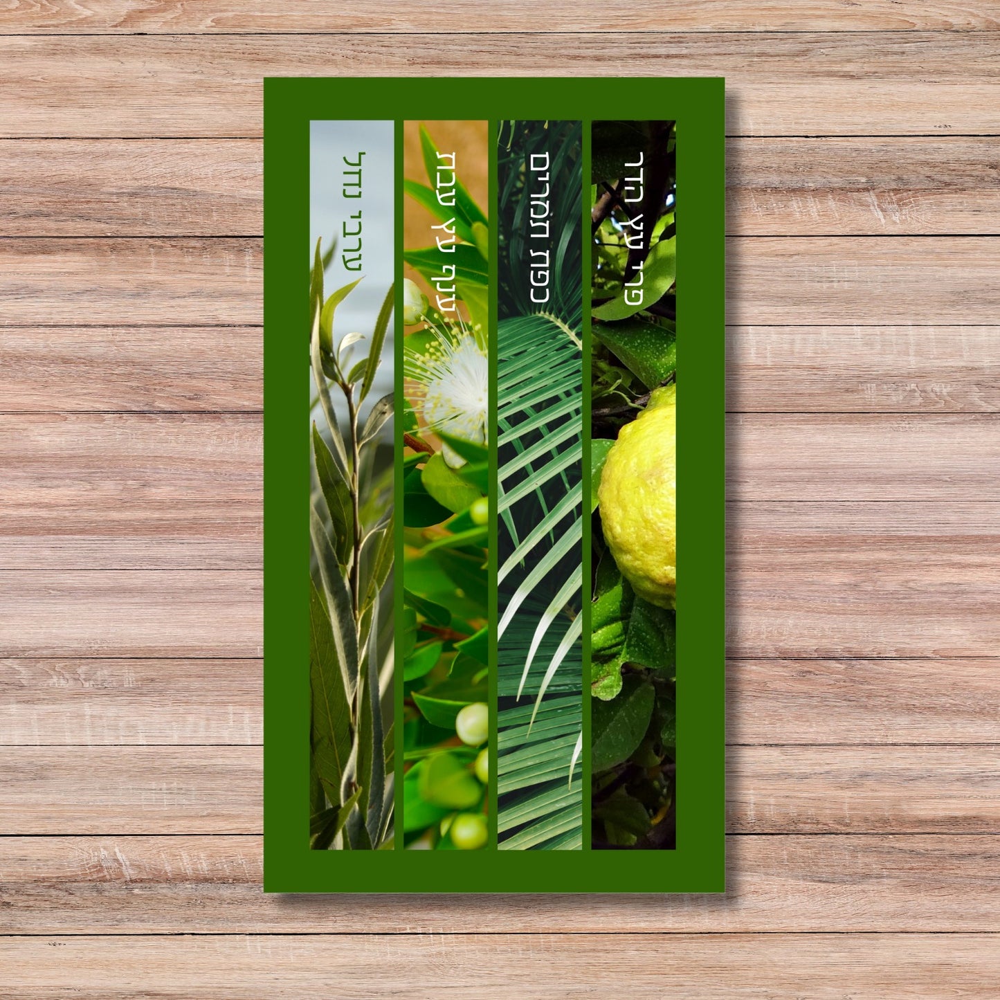 Four Species – ארבעת המינים Vertical Vinyl Sukkah Poster