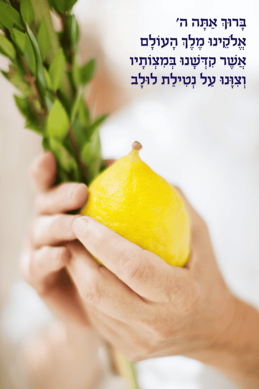 Lulav & Esrog Bracha | Vinyl Sukkah Poster