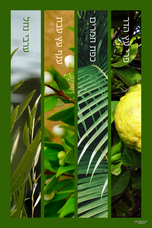 Four Species – ארבעת המינים Vertical Vinyl Sukkah Poster