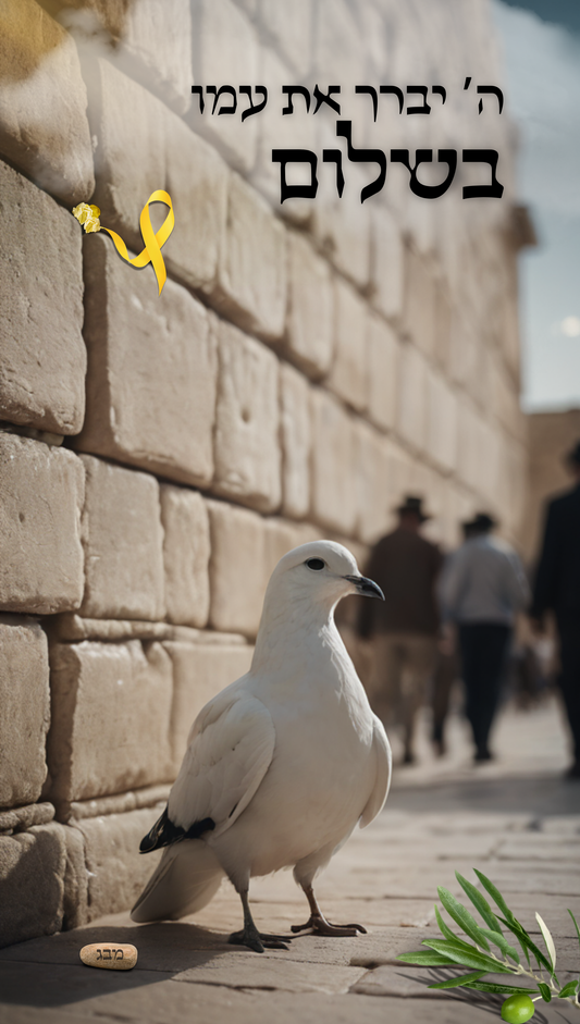 Peace in Israel | Vinyl Sukkah Poster