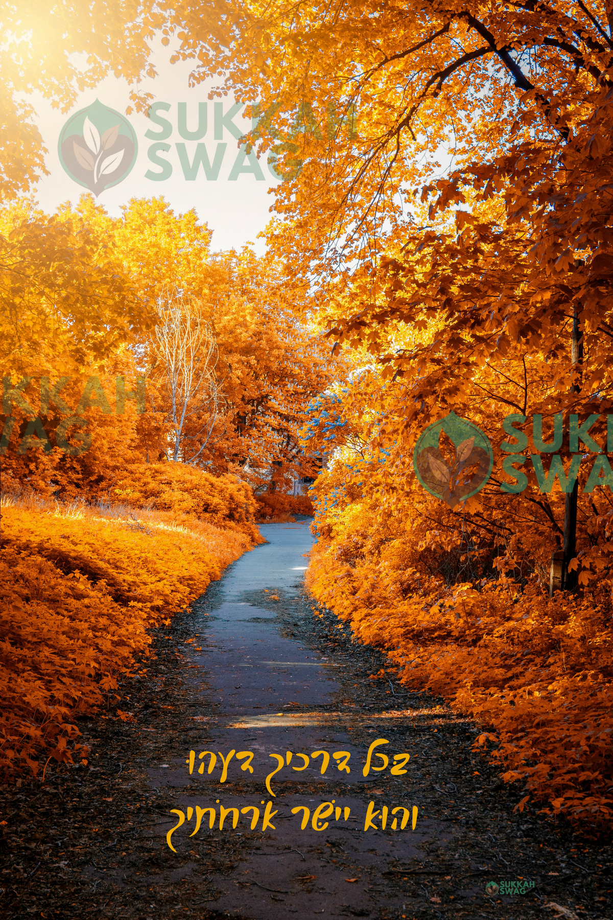 Guided by Hashem – The Path Ahead | Vinyl Sukkah Poster