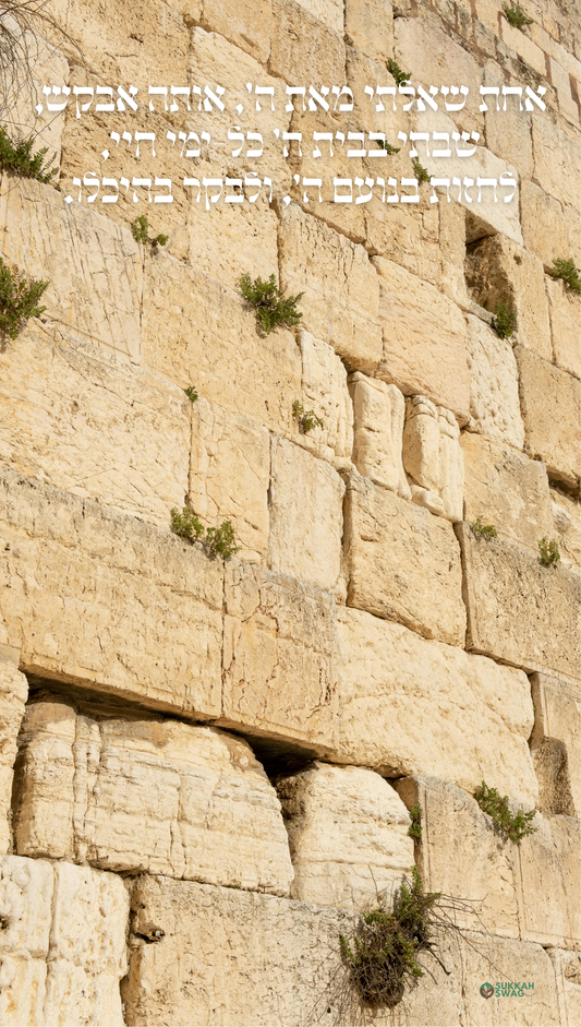 Kotel – Dwelling in Hashem’s House | Vinyl Sukkah Poster