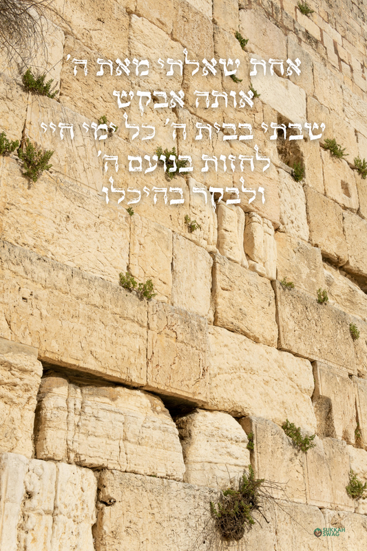 Kotel – Dwelling in Hashem’s House | Vinyl Sukkah Poster
