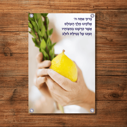 Lulav & Esrog Bracha | Vinyl Sukkah Poster