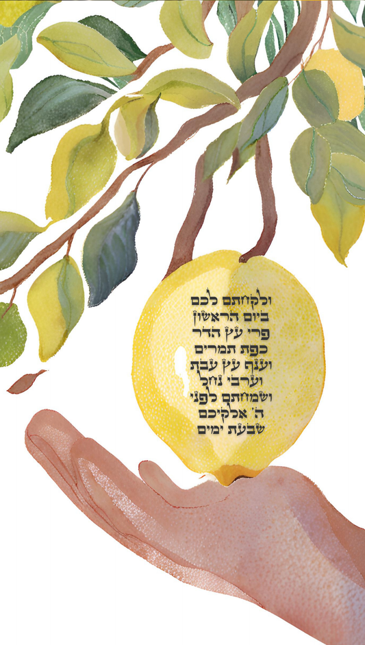 Drawing of a Hand Picking an Esrog | Vinyl Sukkah Poster