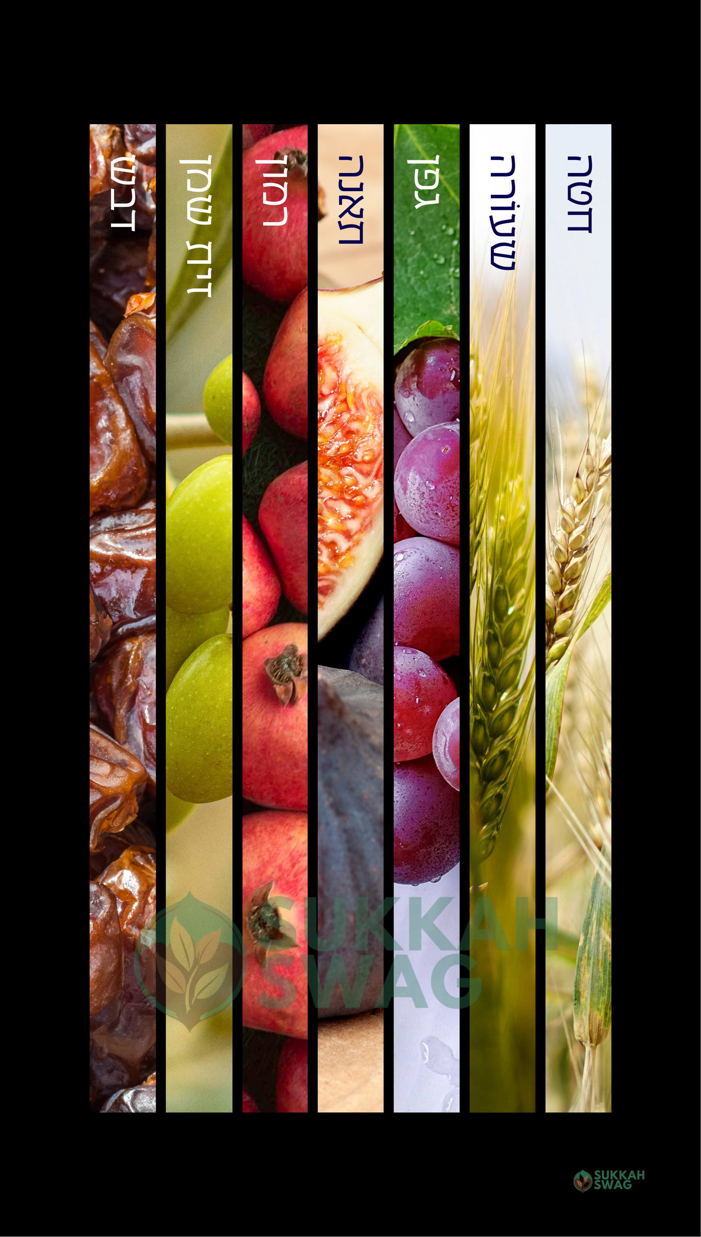 7 Species - שבעת המינים | Vinyl Sukkah Poster