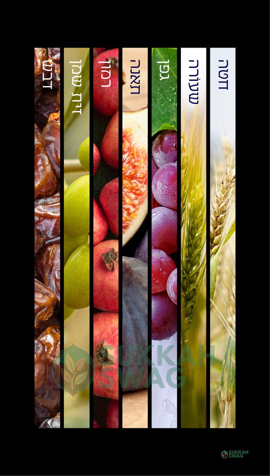 7 Species - שבעת המינים | Vinyl Sukkah Poster