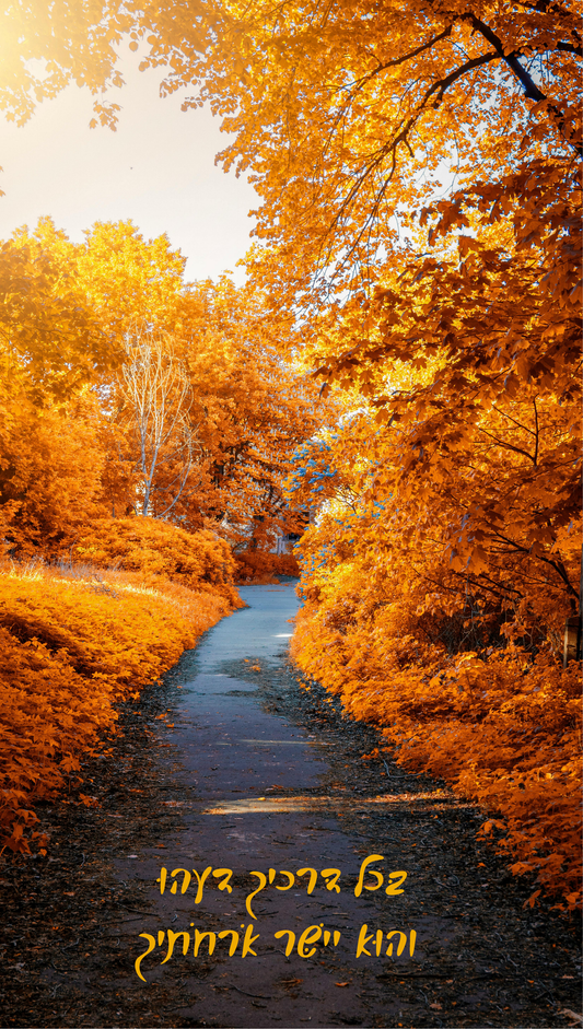 Guided by Hashem – The Path Ahead | Vinyl Sukkah Poster