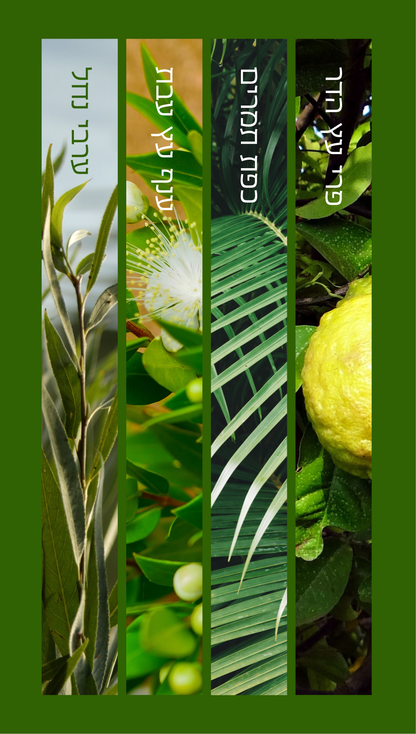 Four Species – ארבעת המינים Vertical Vinyl Sukkah Poster
