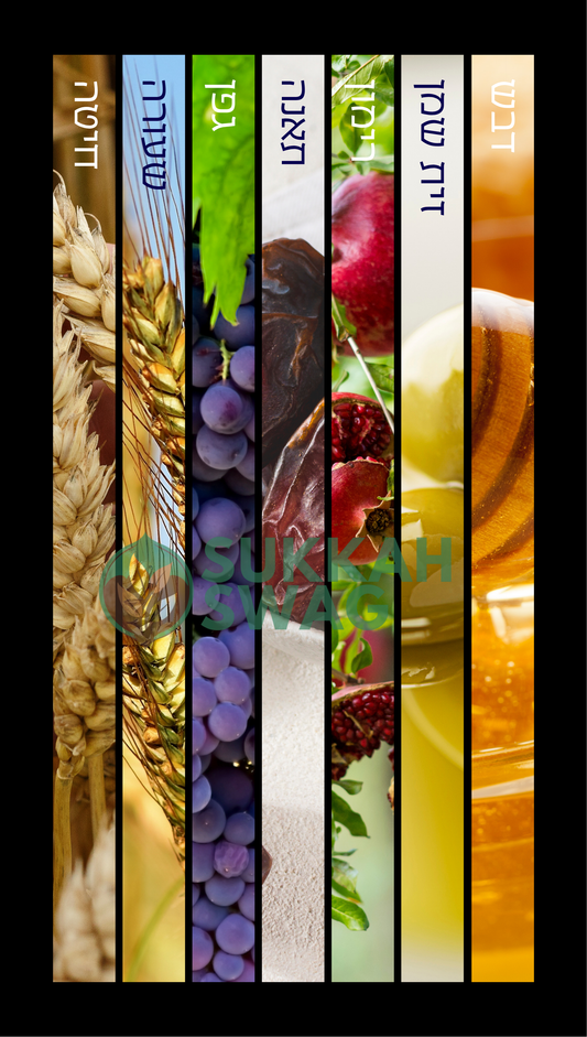 Seven Species (שבעת המינים) | Vinyl Sukkah Poster