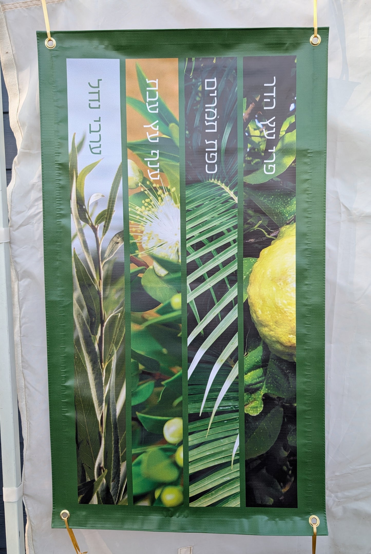 Four Species – ארבעת המינים Vertical Vinyl Sukkah Poster